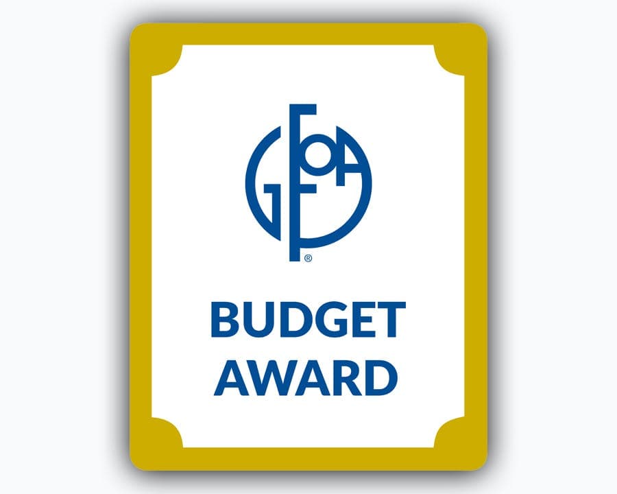 Image of award with words "Budget Award"
