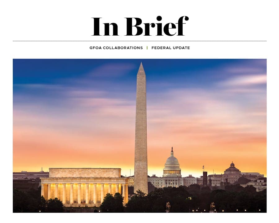 In Brief: 2021 Federal Outlook